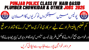 Naib Qasid Job At Police Department Poonch